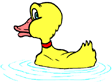 duck